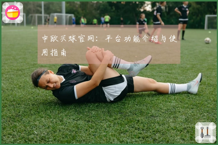 中欧买球官网:平台功能介绍与使用指南