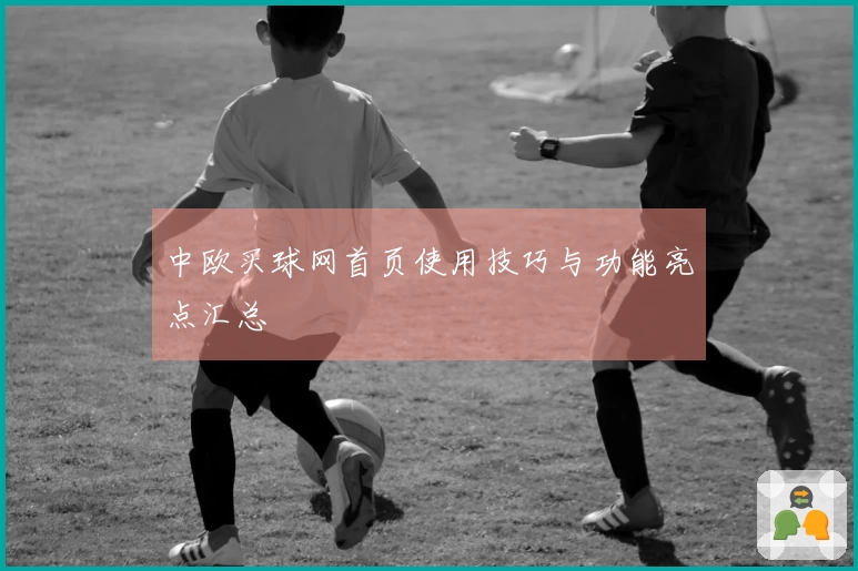 中欧买球网首页使用技巧与功能亮点汇总