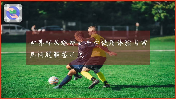 世界杯买球综合平台使用体验与常见问题解答汇总