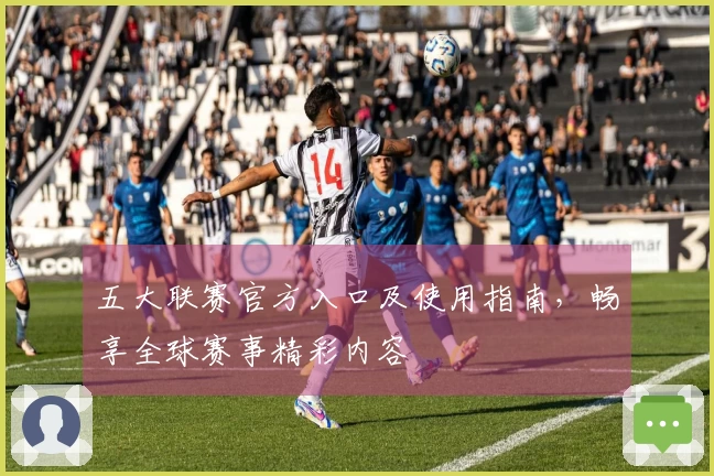 五大联赛官方入口及使用指南，畅享全球赛事精彩内容