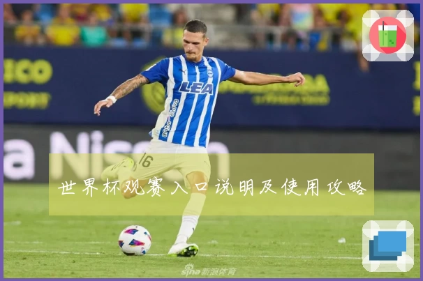 世界杯观赛入口说明及使用攻略
