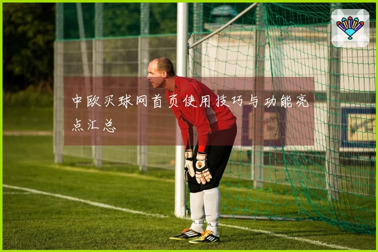 中欧买球网首页使用技巧与功能亮点汇总