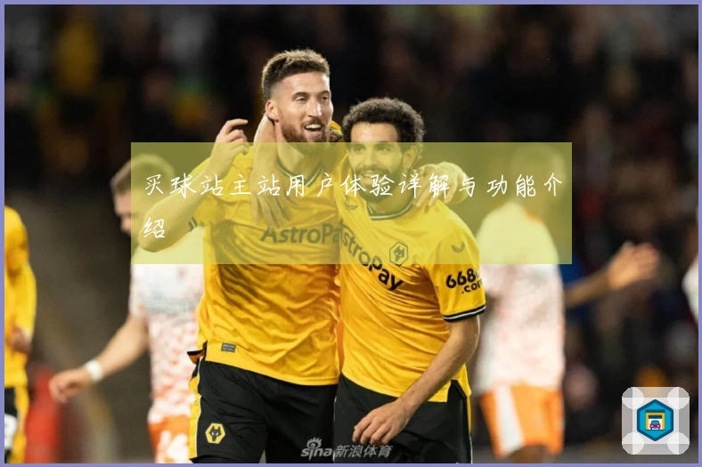 买球站主站用户体验详解与功能介绍