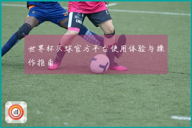 世界杯买球官方平台使用体验与操作指南