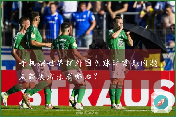手机端世界杯外围买球时常见问题及解决方法有哪些？