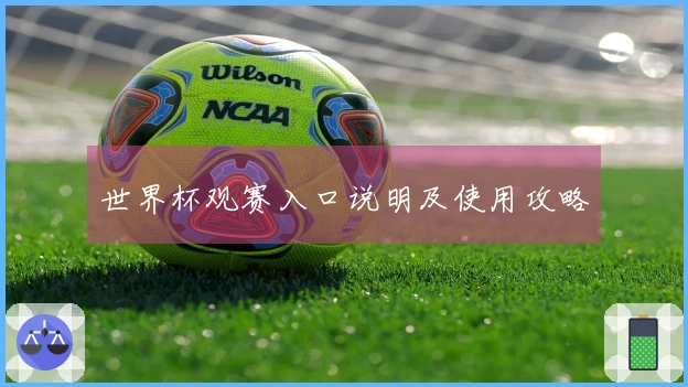 世界杯观赛入口说明及使用攻略